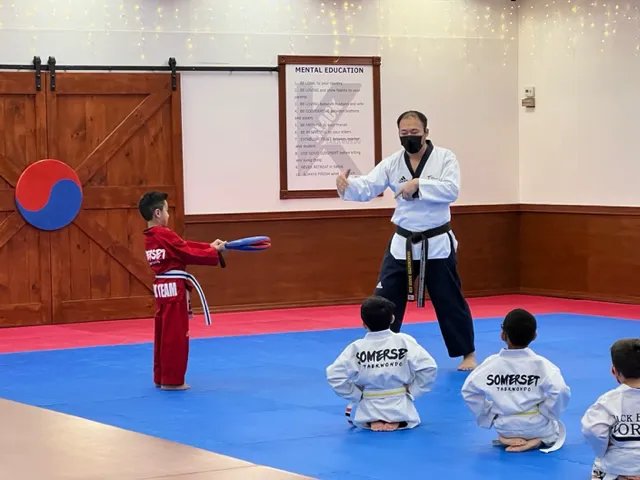 SOMERSET TAEKWONDO Picture 9