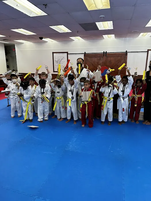 SOMERSET TAEKWONDO Picture 10
