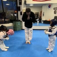 Ilyo Tae Kwon Do ico
