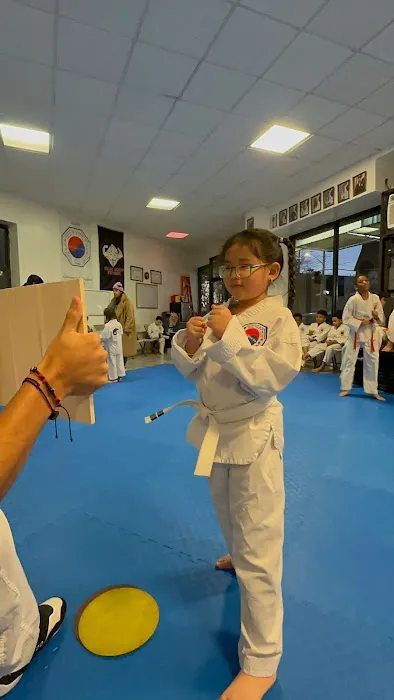 Ilyo Tae Kwon Do Picture 4