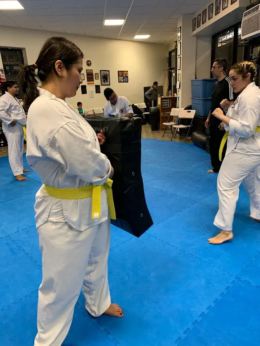 Ilyo Tae Kwon Do Picture 9