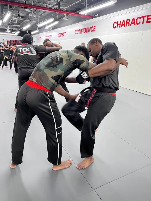 TCK Modern Martial Arts Picture 3