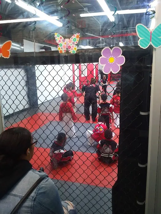TCK Modern Martial Arts Picture 6