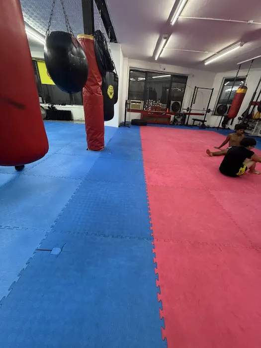 Lions Roar Muay Thai Picture 1