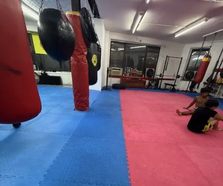 Lions Roar Muay Thai