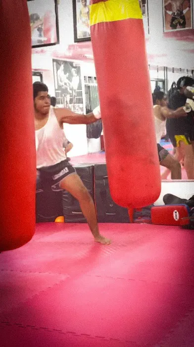 Lions Roar Muay Thai Picture 2