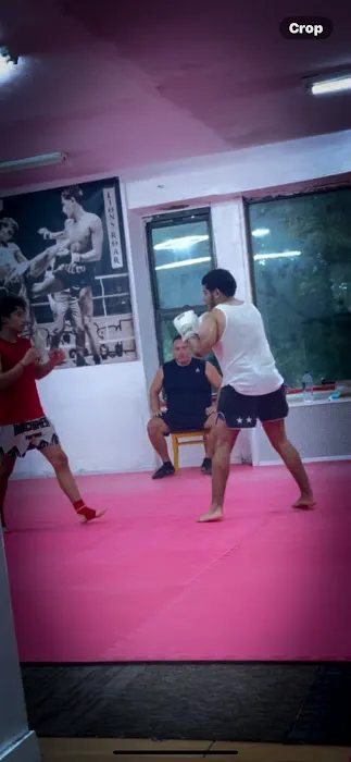Lions Roar Muay Thai Picture 5