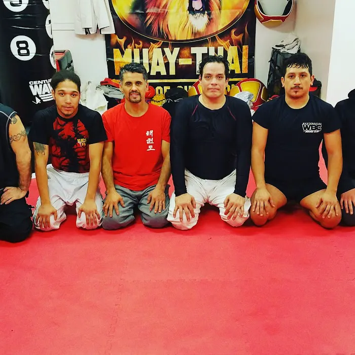 Lions Roar Muay Thai Picture 8