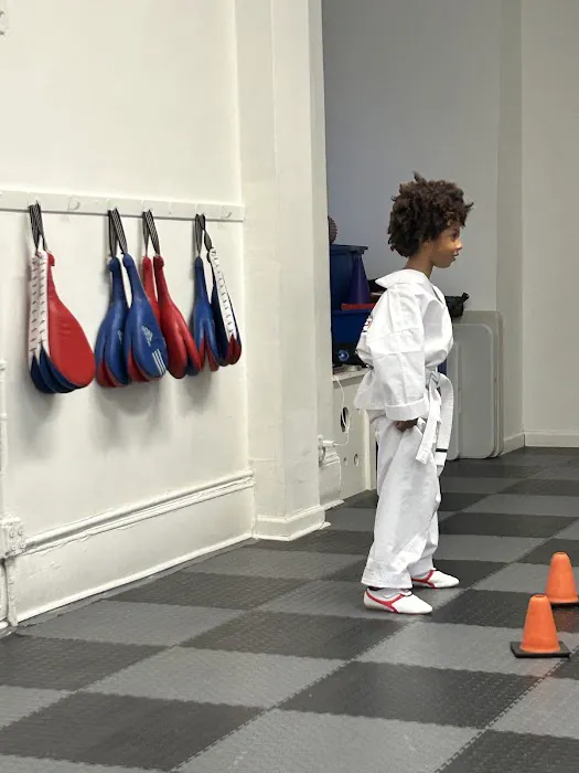 Powerspeed Taekwondo Picture 6