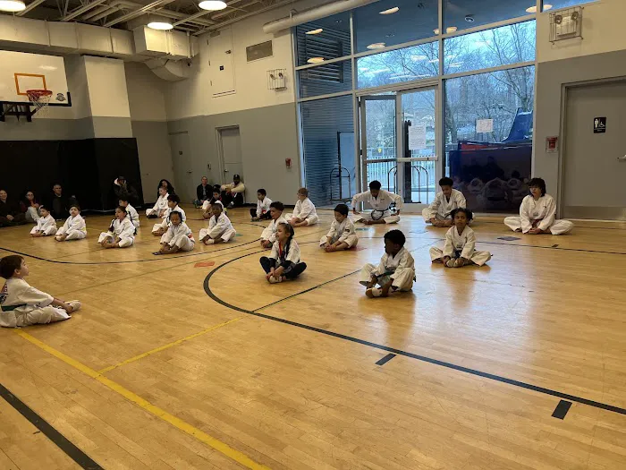Powerspeed Taekwondo Picture 3