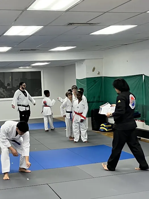 Powerspeed Taekwondo Picture 2