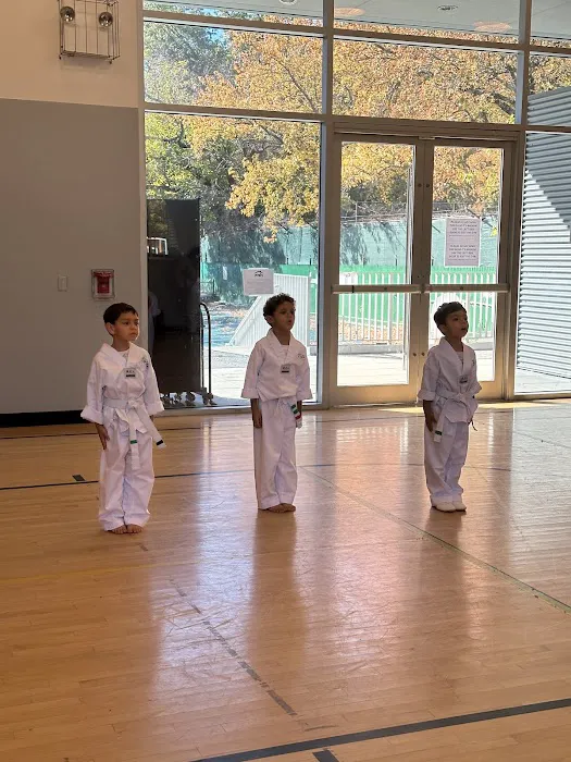 Powerspeed Taekwondo Picture 4