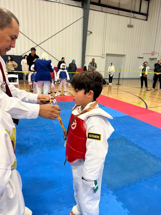 Powerspeed Taekwondo Picture 10