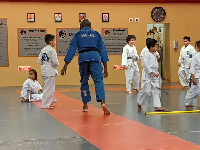 Bronx Martial Arts Academy Picture 2