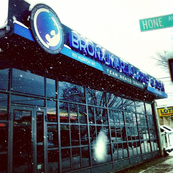 Bronx Martial Arts Academy Picture 6