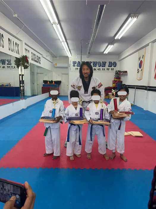 Master Ho Lee's Tae Kwon Do Picture 1