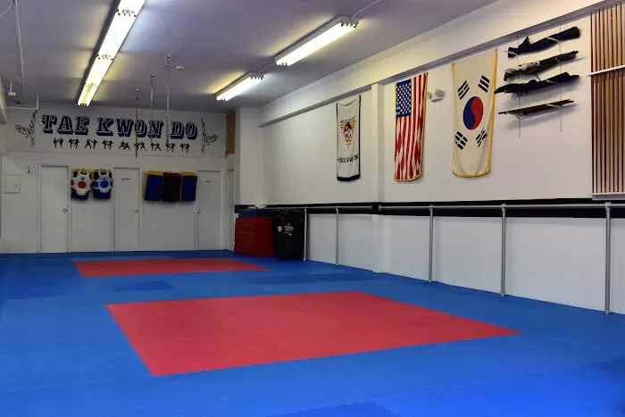 Master Ho Lee's Tae Kwon Do Picture 2