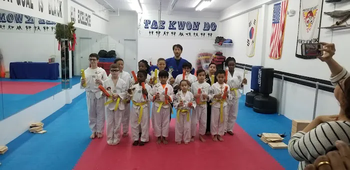 Master Ho Lee's Tae Kwon Do Picture 3