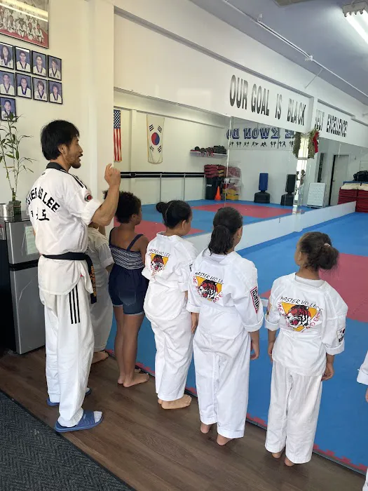 Master Ho Lee's Tae Kwon Do Picture 5
