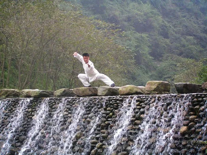 Xin Wu Men Martial Arts Kung Fu School Picture 5