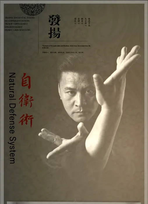 Xin Wu Men Martial Arts Kung Fu School Picture 6