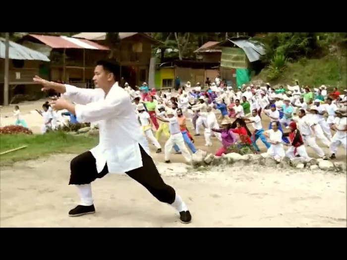 Xin Wu Men Martial Arts Kung Fu School Picture 10