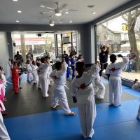 Dynamic Martial Arts Academy (Jamaica) ico