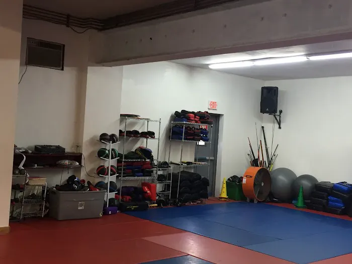 Dynamic Martial Arts Academy (Jamaica) Picture 6