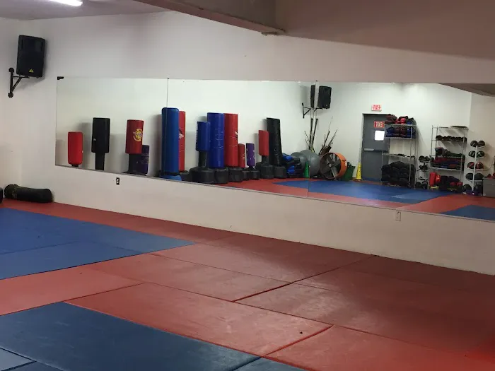 Dynamic Martial Arts Academy (Jamaica) Picture 3