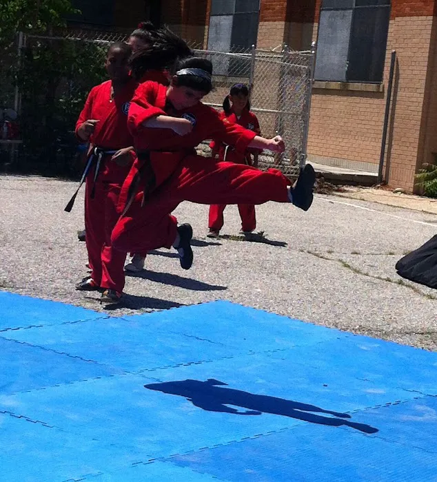 Dynamic Martial Arts Academy (Jamaica) Picture 7