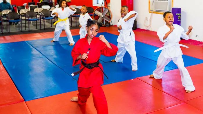 Dynamic Martial Arts Academy (Jamaica) Picture 10