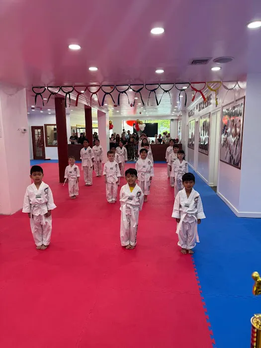 United Taekwondo Center & TMA KickBoxing Picture 4