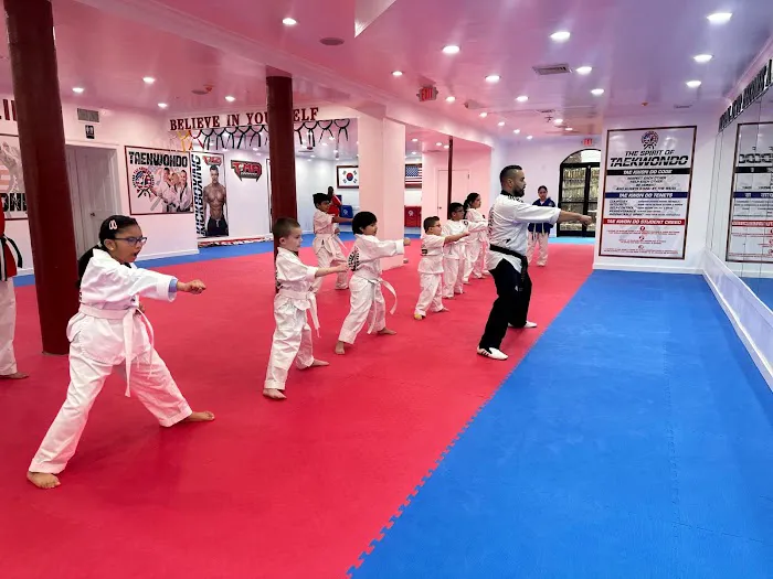 United Taekwondo Center & TMA KickBoxing Picture 6