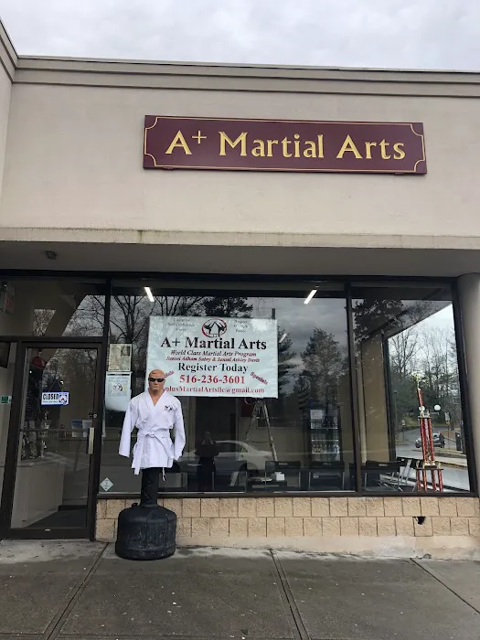 A+ Martial Arts Picture 1