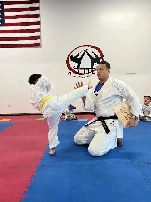 A+ Martial Arts Picture 6