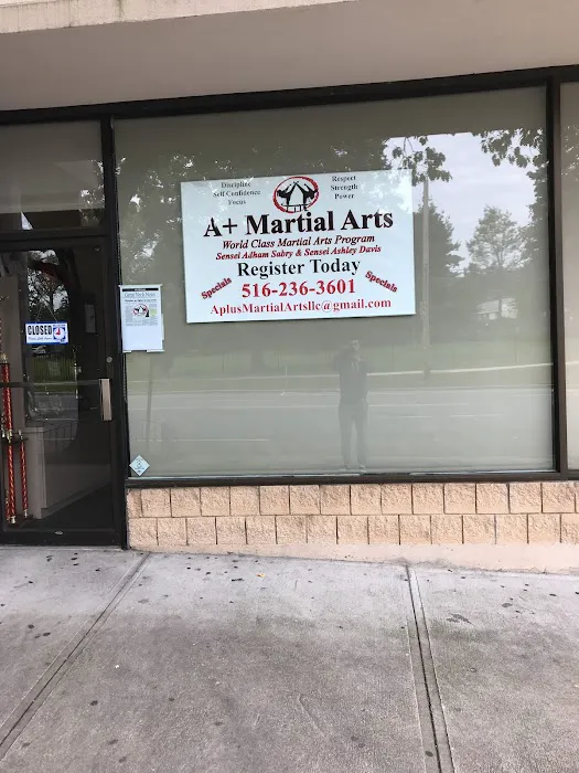 A+ Martial Arts Picture 7
