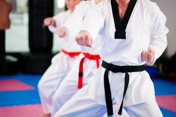 White Tiger Taekwondo | Taekwondo School in New Hyde Park, NY Picture 2