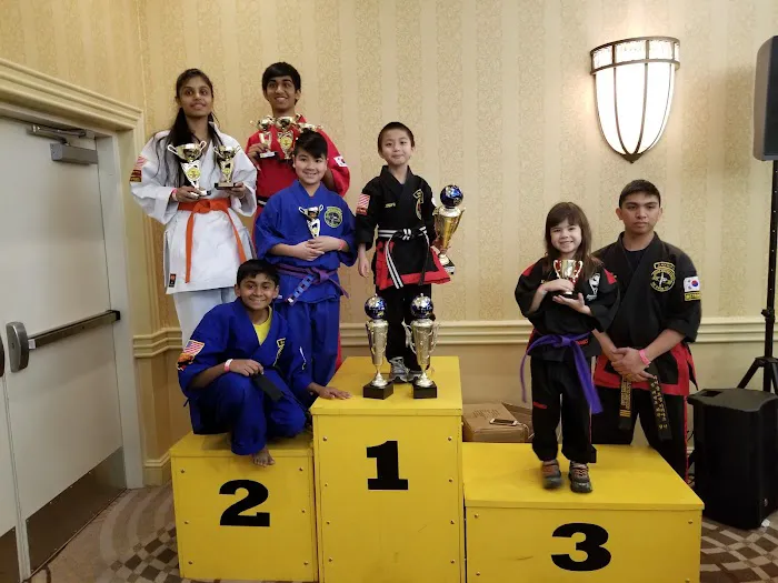 Grand Master Chung taekwondo USA KIDS Picture 4