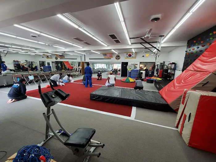 Grand Master Chung taekwondo USA KIDS Picture 1