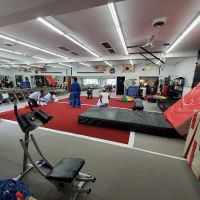 Grand Master Chung taekwondo USA KIDS ico