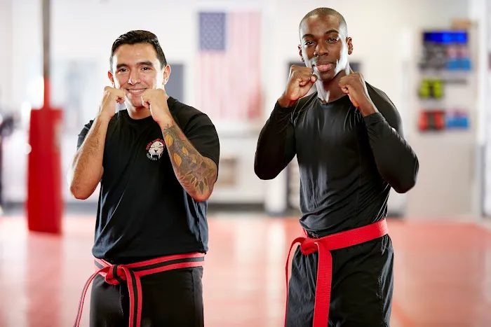 Tiger Schulmann's Martial Arts (Queens-Bellerose, NY) Picture 7