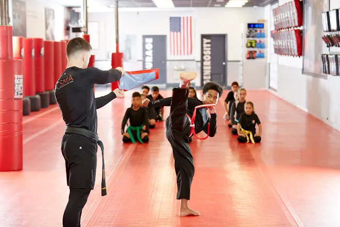 Tiger Schulmann's Martial Arts (Queens-Bellerose, NY) Picture 8