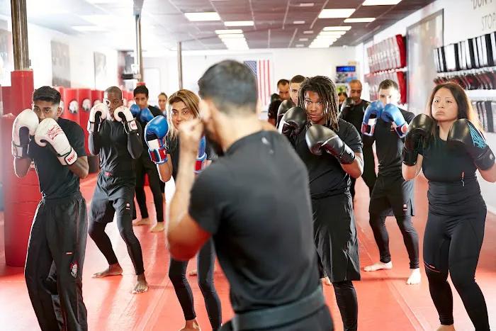 Tiger Schulmann's Martial Arts (Queens-Bellerose, NY) Picture 10