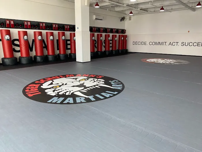 Tiger Schulmann's Martial Arts (Queens-Bellerose, NY) Picture 9