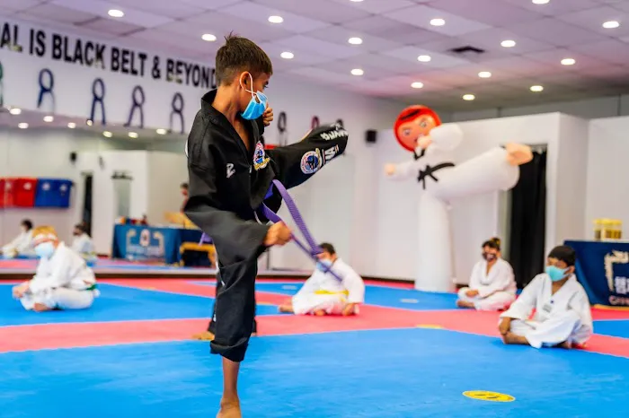 Champions Martial Arts Picture 4