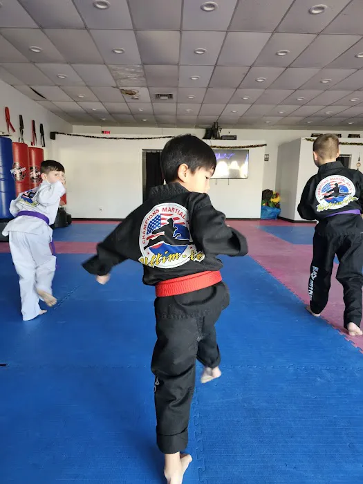 Champions Martial Arts Picture 8
