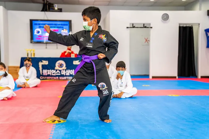Champions Martial Arts Picture 7