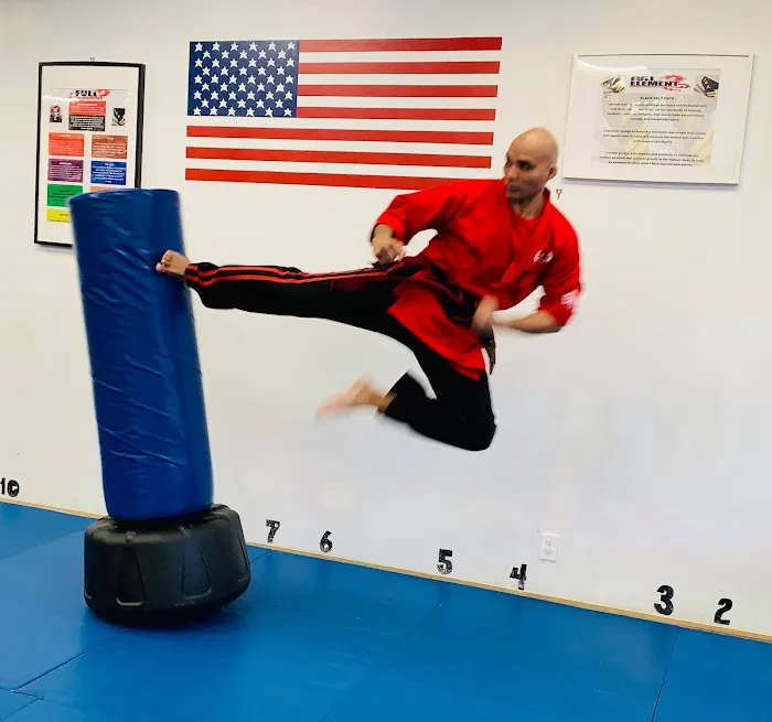 Full Element Martial Arts Picture 4