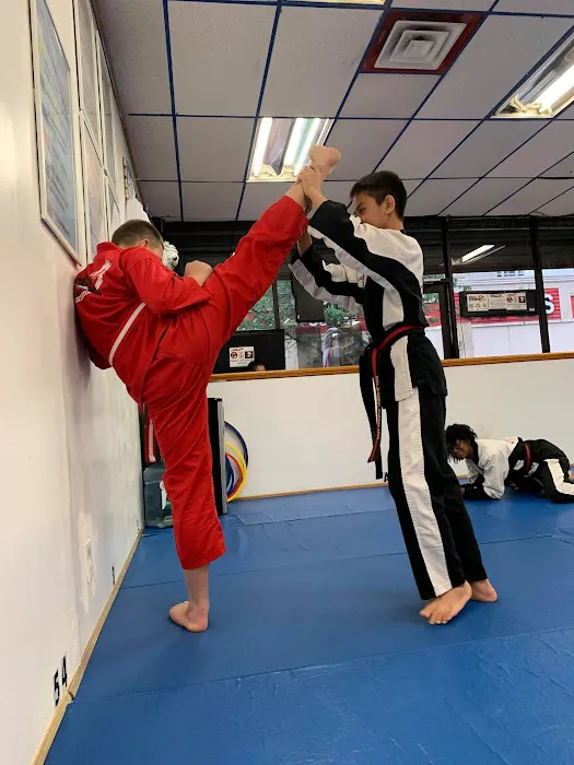 Full Element Martial Arts Picture 6