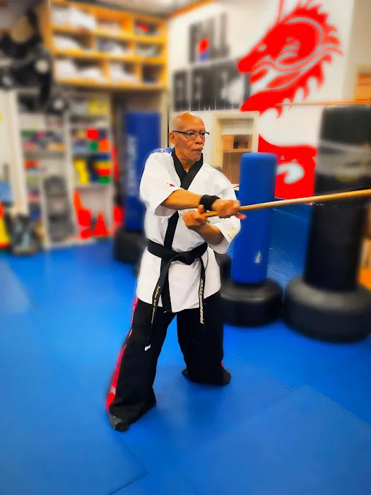 Full Element Martial Arts Picture 8